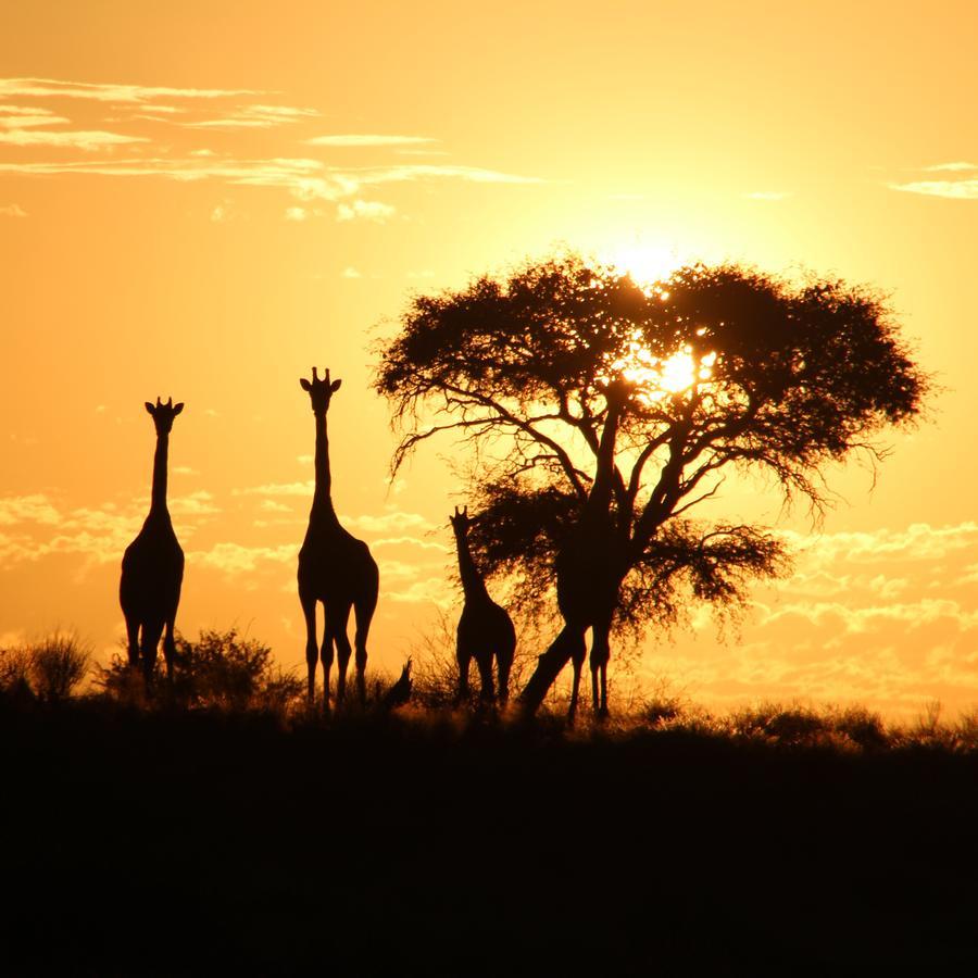 Kalahari Red Dunes Lodge Kalkrand المظهر الخارجي الصورة